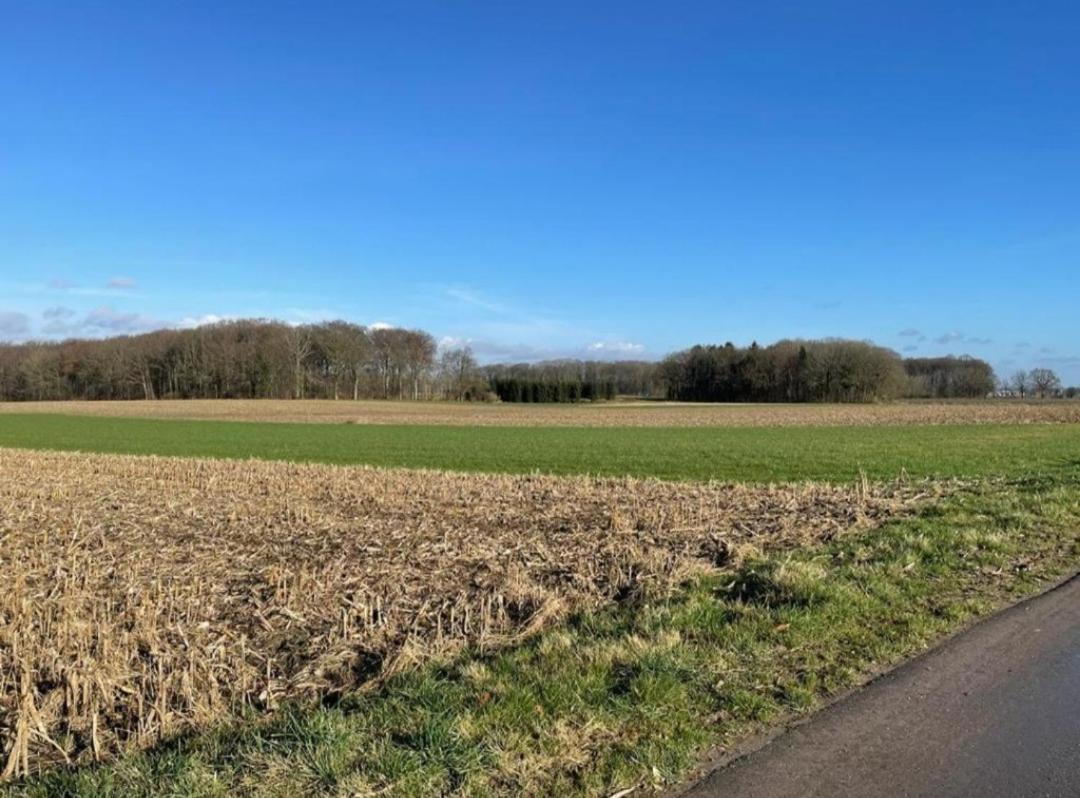 Het Damhert Kortenaken Luaran gambar